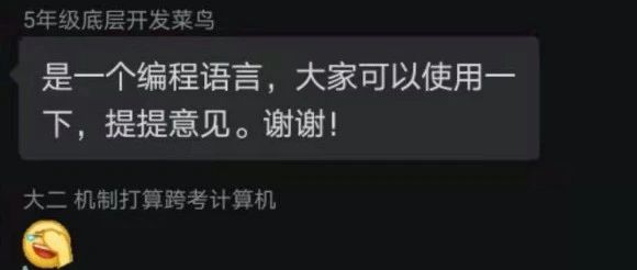 小学五年级自创编程语言,这读者太强了!