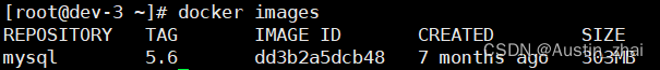 docker使用手册(3)—— 基础使用