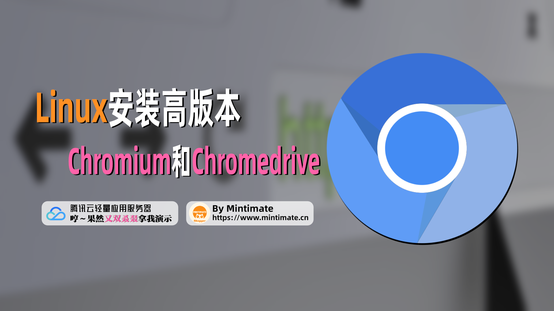 Linux以及云服务器详解高版本Chromium和Chromedriver的安装,为Selenium铺路