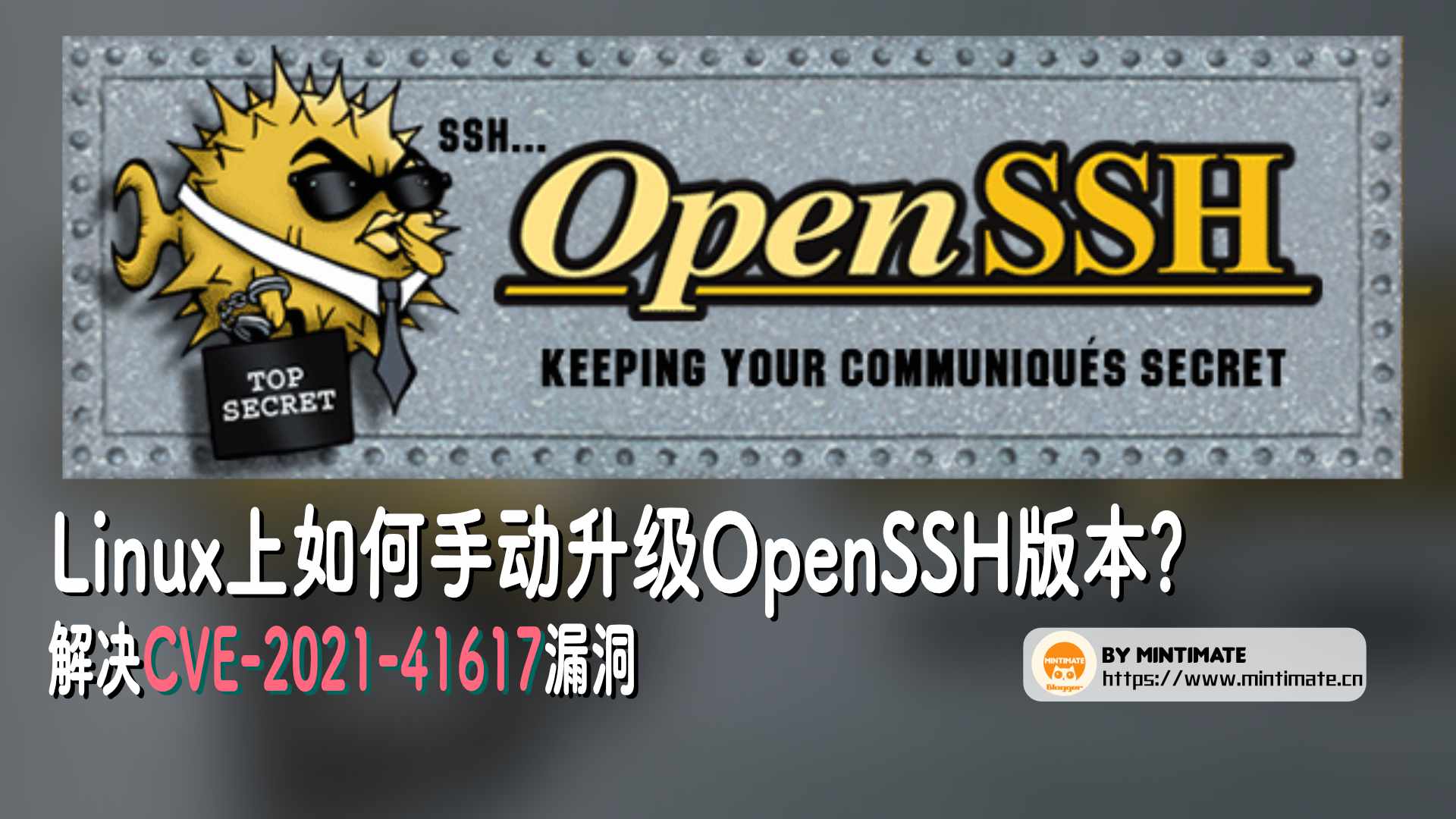 Linux上如何手动升级OpenSSH版本?解决CVE-2021-41617漏洞