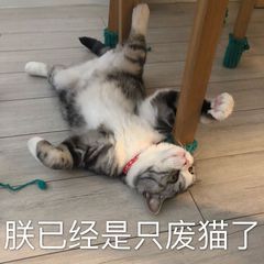 【源码篇】Flutter Provider的另一面(万字图文+插件)
