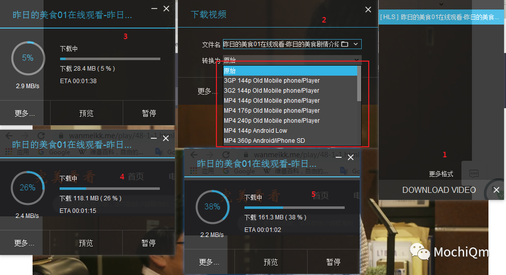 暴打IDM,解决IDM不能下载法律保护资源问题