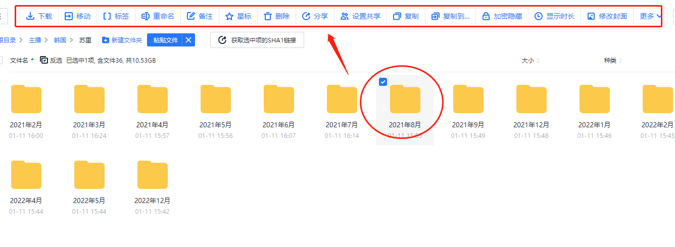 115sha1保姆级使用教程