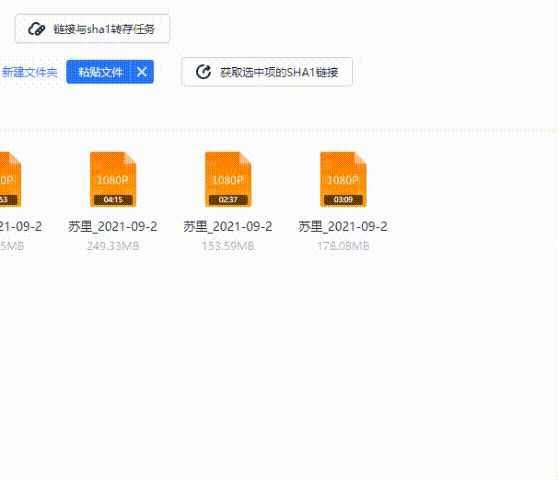 115sha1保姆级使用教程