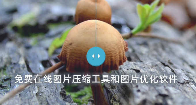 十五个免费的图片压缩工具整理汇总-免费在线图片压缩工具和图片优化软件